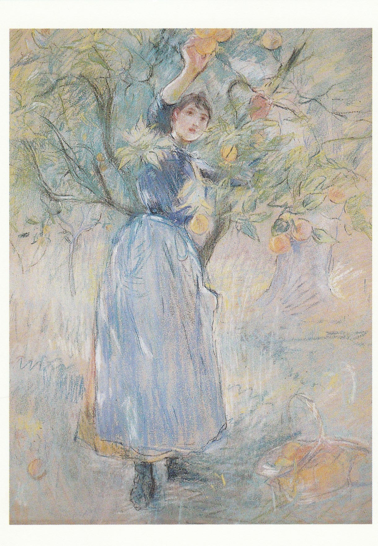 THE ORANGE PICKER By Berthe Morisot - Vintage Art POSTCARD